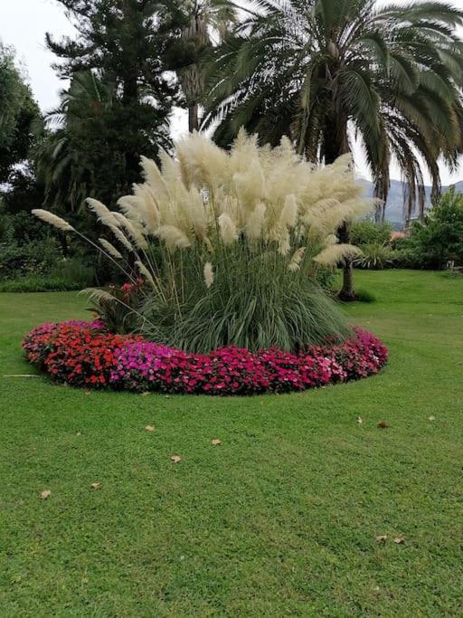 Imperial Palace Bord De Mer Menton Extérieur photo